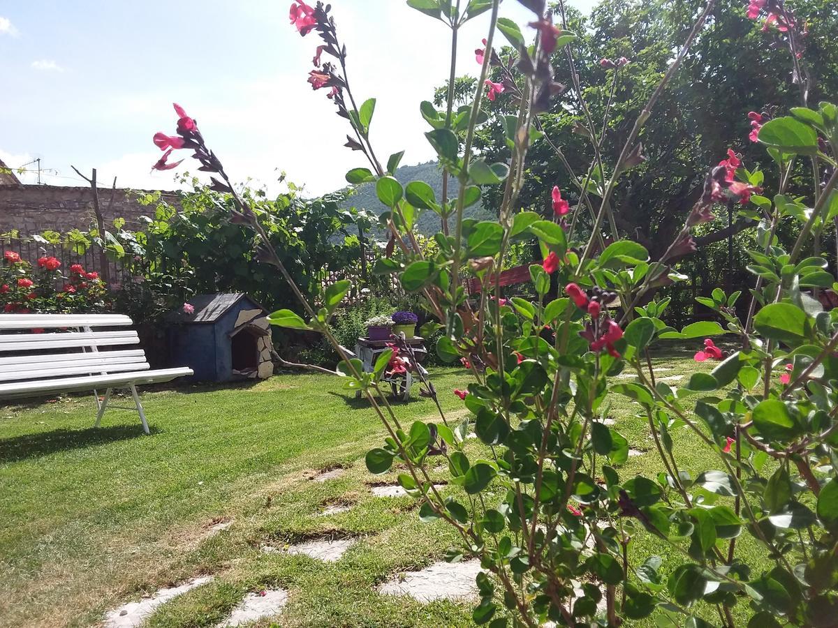 Agriturismo Campagna In Compagnia Vallo di Nera Kültér fotó