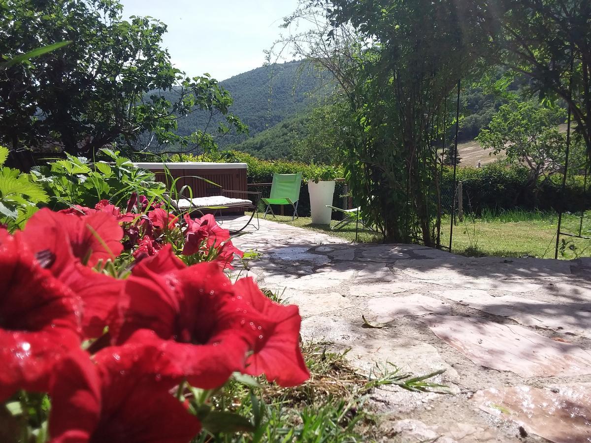 Agriturismo Campagna In Compagnia Vallo di Nera Kültér fotó