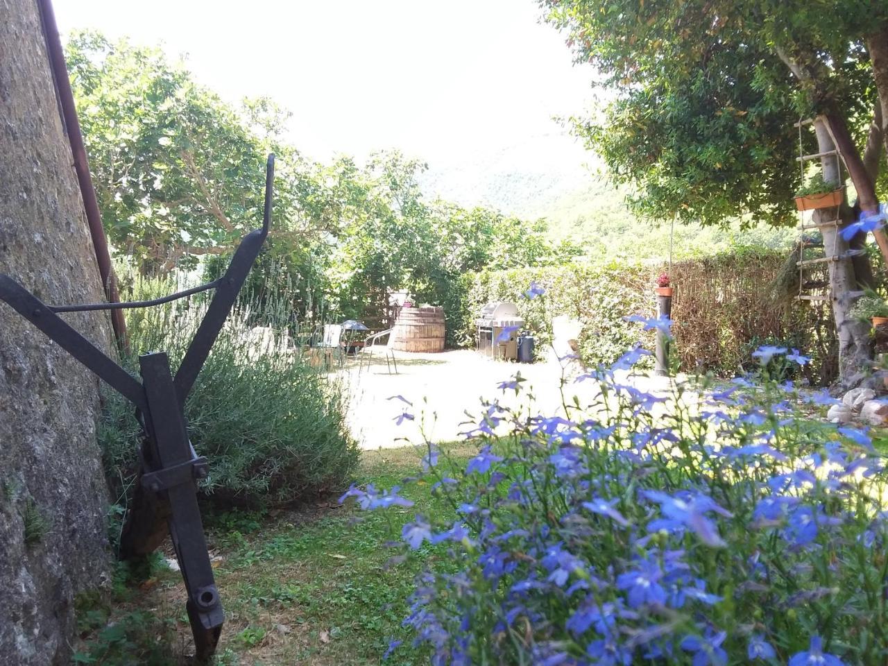 Agriturismo Campagna In Compagnia Vallo di Nera Kültér fotó
